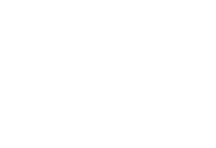 WANS PRIMARY WHITE Logo Only - Write A New Story